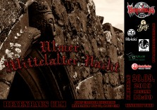 Ulmer Mittelalter Nacht