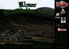 Ulmer Mittelalter Nacht