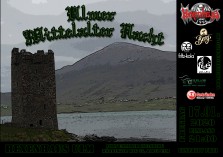 Ulmer Mittelalter Nacht