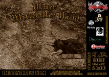 Ulmer Mittelalter Nacht